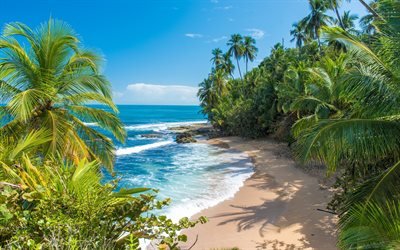 Karayipler, tropik ada, okyanus, defne, palmiye ağa&#231;ları, g&#252;zel adalar, yaz seyahati, Kosta Rika