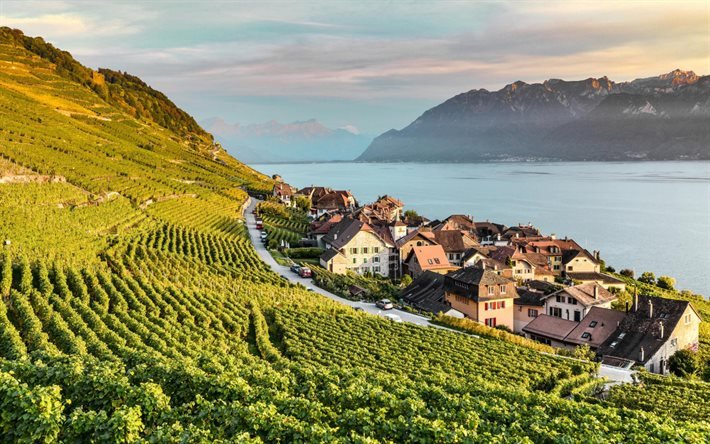 Lavaux, vignobles, lac, soir&#233;e, coucher de soleil, Alpes, paysage de montagne, Lavaux-Oron, Canton de Vaud, Suisse