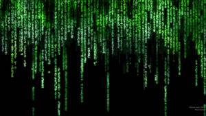 1) Step Into a Neon World of the Matrix matrix wallpaper
