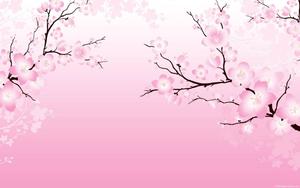 2D Cherry Blossom cherry blossom wallpaper
