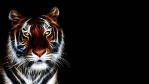 3D Animated Tiger tiger wallpaper