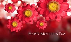 3D Flowers Mother's Day Greeting mothers day wallpaper