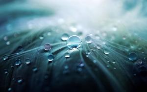 3D HD Dew Drops 3d hd wallpaper