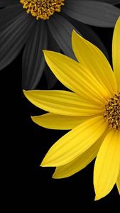 3D Phone Black And Yellow Sunflowers 3d phone wallpaper