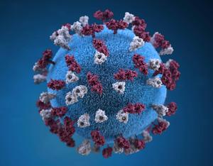 3D Virus Image  Wallpaper