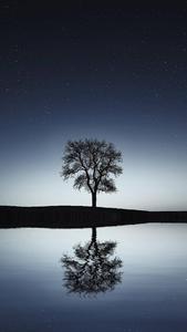 4K Android Black Tree 4k android wallpaper