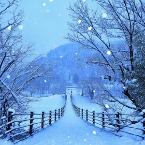 4k Ipad Snow Pathway 4k ipad wallpaper
