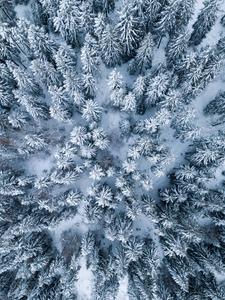 4k Ipad Winter Season 4k ipad wallpaper
