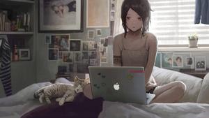 4K Laptop Anime Girl And Cat 4k laptop wallpaper