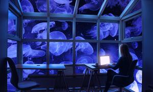4K Laptop Jellyfish Window 4k laptop wallpaper