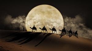 4K Laptop Silhouettes Desert Moon