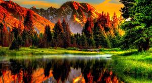 4k Nature At Golden Hour 4k nature wallpaper