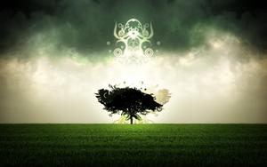4k Nature Aura 4k nature wallpaper