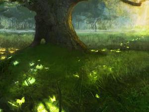 4k Nature Glowing Insects 4k nature wallpaper