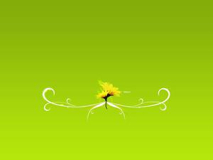 4k Nature Green Background 4k nature wallpaper