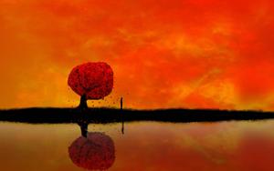 4k Nature Red Tree 4k nature wallpaper