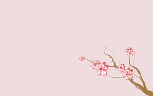 4k Nature Sakura Flowers 4k nature wallpaper