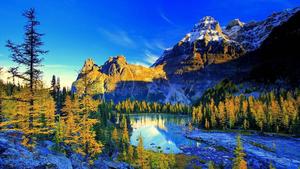 4k Nature Vivid Landscape 4k nature wallpaper