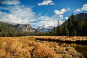 4k Nature Wheat Field 4k nature wallpaper