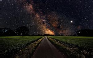 4K Space Above Rice Field Wallpaper