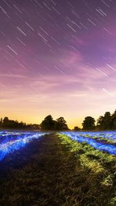 4k Ultra Hd Glowing Field 4k ultra hd wallpaper