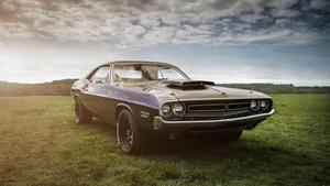 4K Vintage Car On Grass Wallpaper