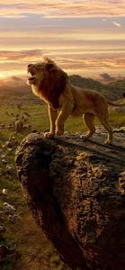 8K iPhone Lion King Real 8k iphone wallpaper