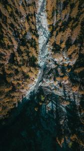 8K iPhone Rainforest Aerial View 8k iphone wallpaper