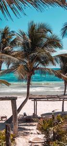 a beach with palm trees and a beach chair summer iphone wallpaper
