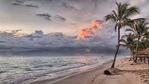 a beach with palm trees and clouds in the sky summer wallpaper
