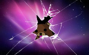 A Bear Glimpsed Through a Cracked Phone Screen cracked screen wallpaper