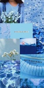 A beautiful collage of vibrant Blue Aesthetic flowers blue aesthetic wallpaper