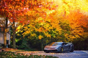 A beautiful Gray Lamborghini Gallardo making its way through the crispy autumn air. lamborghini wallpaper
