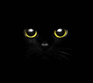 A beautiful, mysterious dark sky filled with stars cute dark wallpaper