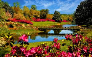 A beautiful river view of spring flowers. spring desktop wallpaper
