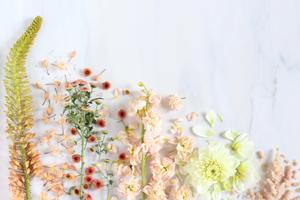 A beautiful spring scene with blue skies and vibrant blooms spring desktop wallpaper