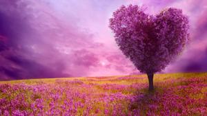 A bewitching tree of love beautiful wallpaper
