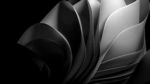 a black and white photo of a flower dark wallpaper