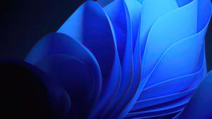 a blue abstract flower with a black background aesthetic computer 4k wallpaper