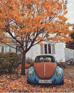 a blue vw beetle parked in front of a house with leaves fall aesthetic wallpaper