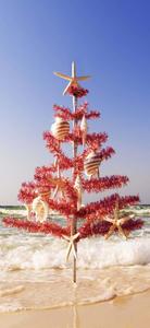 a christmas tree on the beach with starfish and shells christmas iphone wallpaper