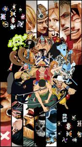 A Collection of Our Favorite One Piece Characters  Wallpaper