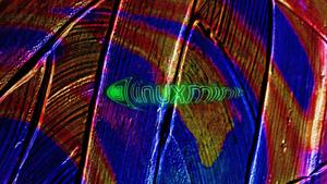 a colorful abstract image of a butterfly linux wallpaper