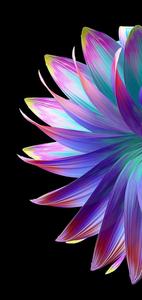 a colorful flower with a black background samsung wallpaper