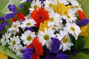 A colourful bouquet of tropical flowers flower wallpaper