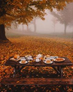 A cozy Fall day spent in the countryside fall aesthetic wallpaper