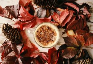 a cup of coffee surrounded by leaves and pine cones fall aesthetic wallpaper