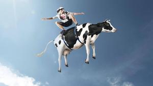 A daring Skater proves no one can keep him from completing his stunts, not even a Cow! funny wallpaper
