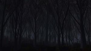 a dark forest with trees and a fire dark wallpaper