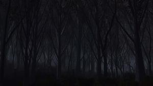 a dark forest with trees and a lamp dark wallpaper